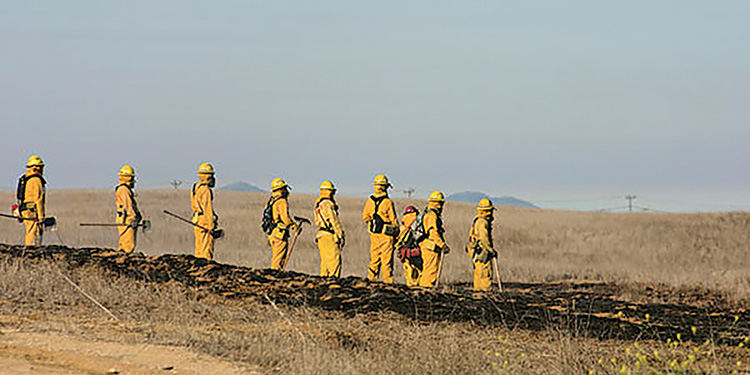 Lakeland Fire’s wildland PPE also serves as technical rescue gear using a TenCate Defender M Gold shell fabric.